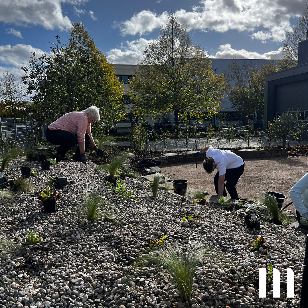 Mitarbeiter von ppm bei Grüner Teamaktion