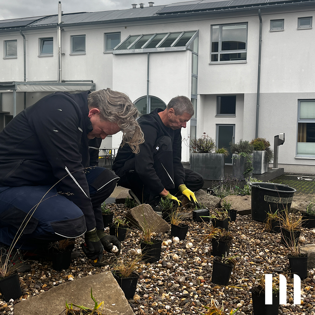 Mitarbeiter von ppm bei Grüner Teamaktion